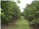 Drinan QLD 4671