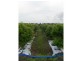 Gooburrum QLD 4670