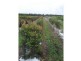 Gooburrum QLD 4670