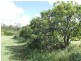 Winfield QLD 4670