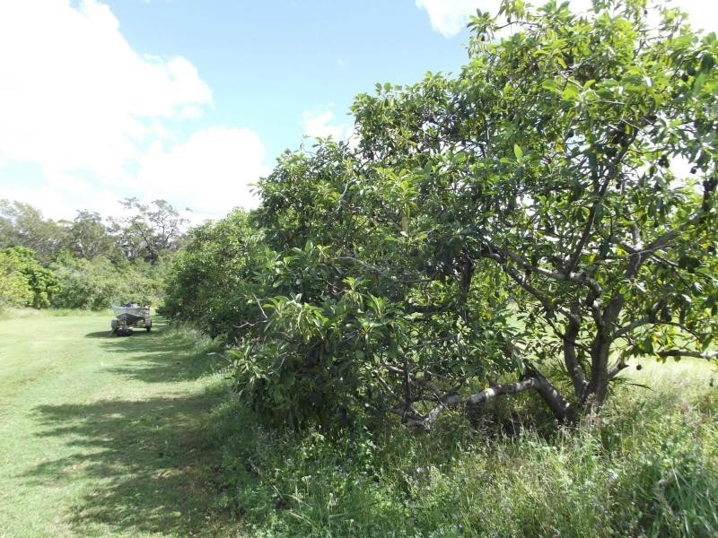 Winfield QLD 4670