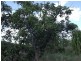 Winfield QLD 4670