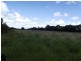 Winfield QLD 4670