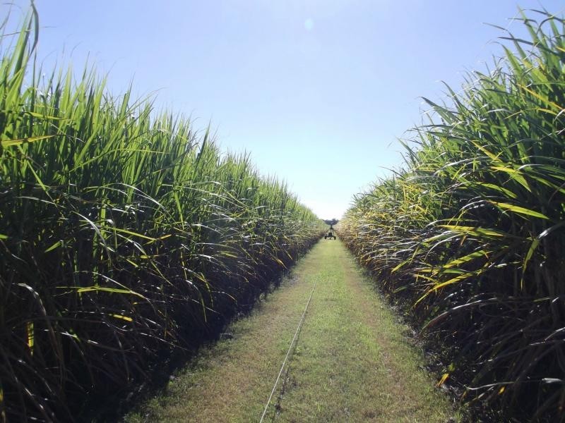 Moore Park Beach QLD 4670