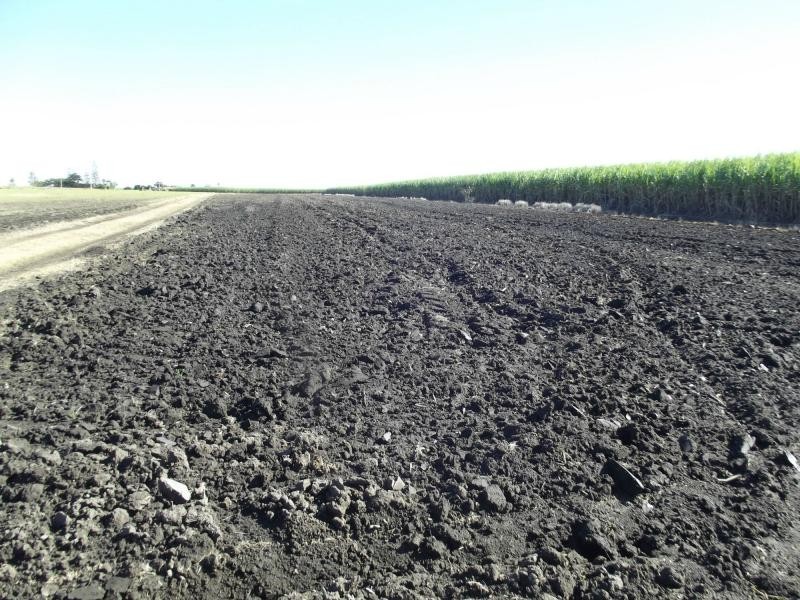 Moore Park Beach QLD 4670