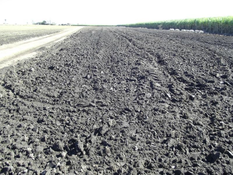 Moore Park Beach QLD 4670