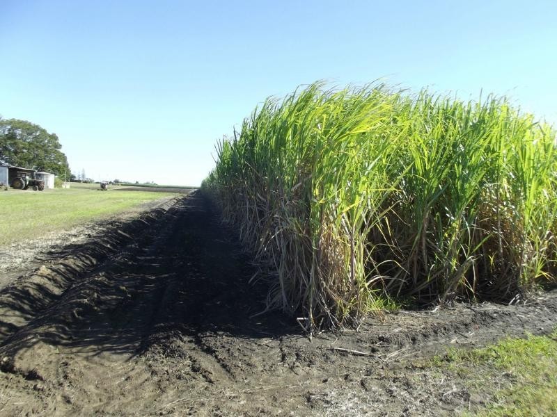 Moore Park Beach QLD 4670
