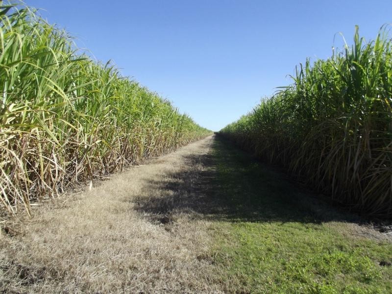 Moore Park Beach QLD 4670