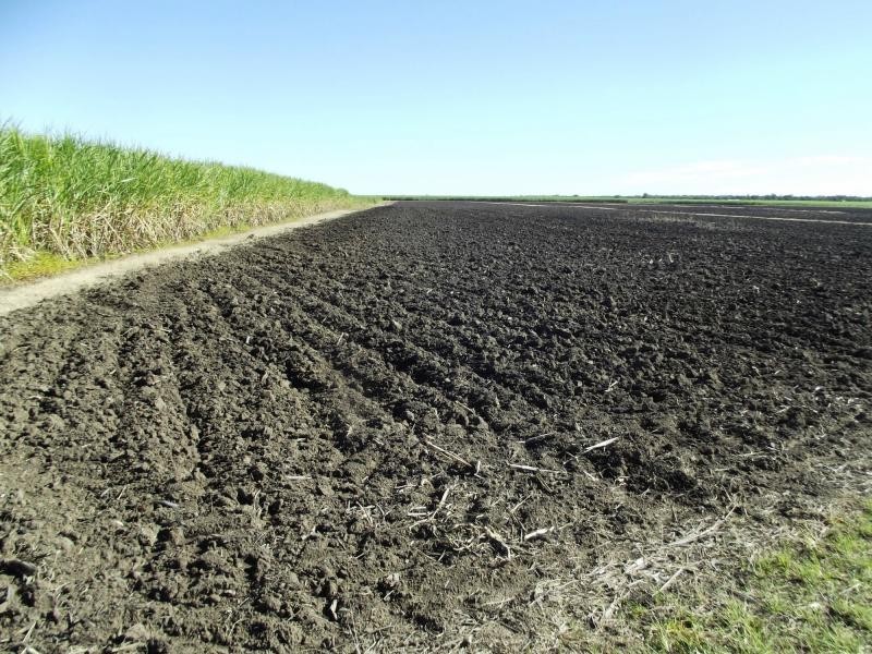 Moore Park Beach QLD 4670
