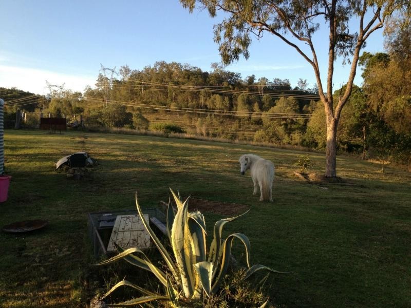 133 Delaneys Road, Horse Camp QLD 4671