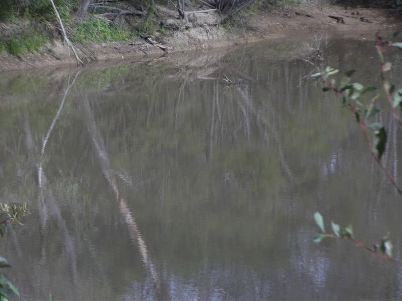 Mullett Creek QLD 4670