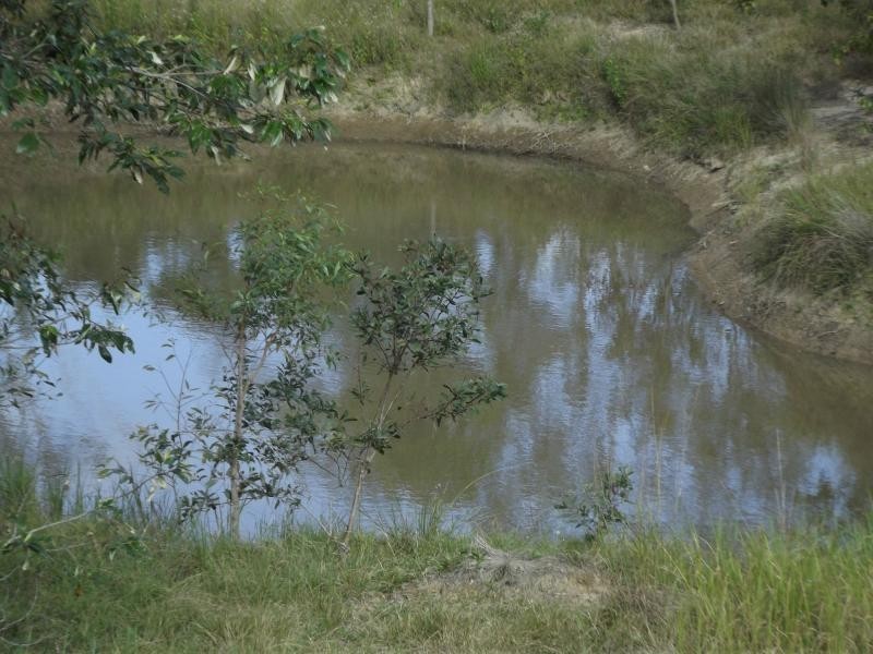 Mullett Creek QLD 4670