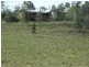 Colosseum QLD 4677