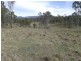 Colosseum QLD 4677