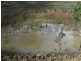 Colosseum QLD 4677