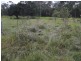Gin Gin QLD 4671