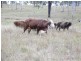 Rosedale QLD 4674
