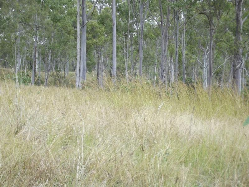 Rosedale QLD 4674