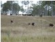 Rosedale QLD 4674
