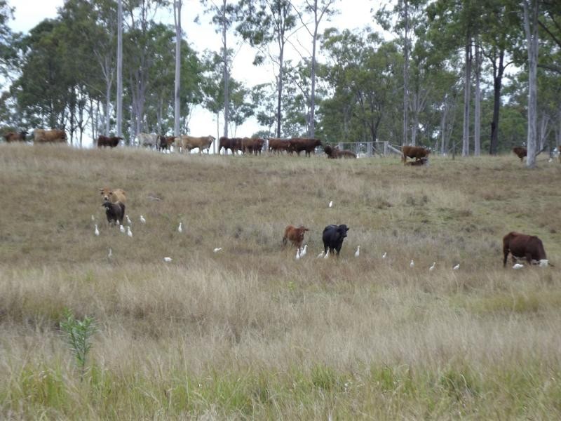Rosedale QLD 4674