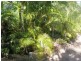 Bucca QLD 4670