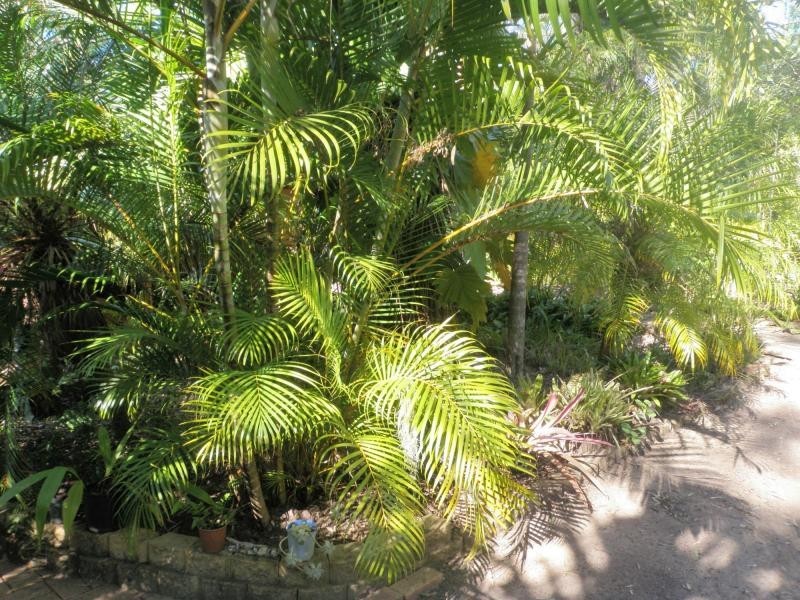Bucca QLD 4670