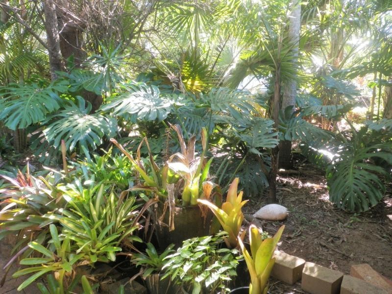 Bucca QLD 4670