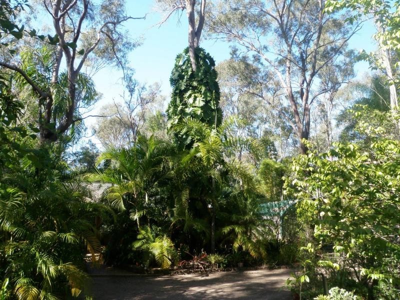 Bucca QLD 4670