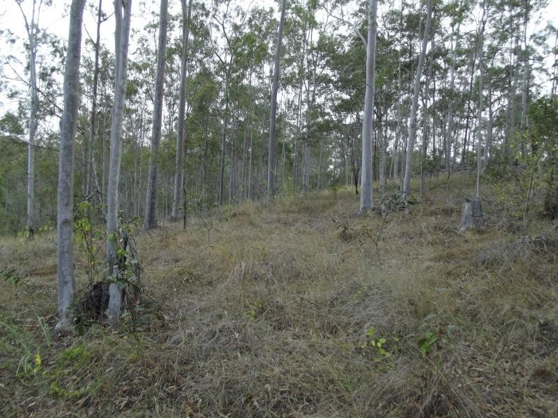 206 Halford Drive, Moroondan, Gin Gin QLD 4671