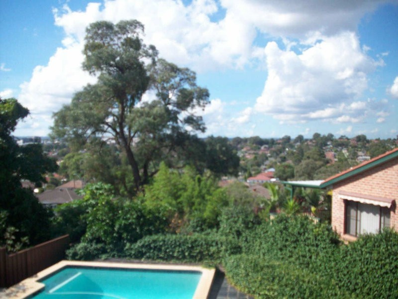 3 Bellevista Place, Blacktown NSW 2148