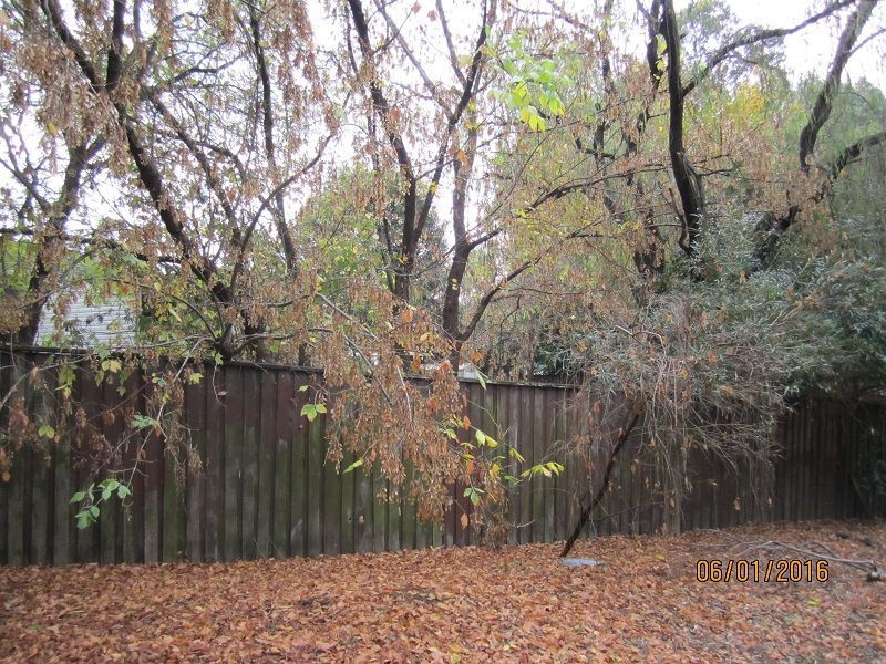 8 Anne Avenue, Seven Hills NSW 2147