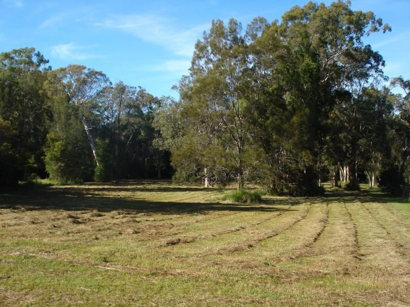 38 Springhill Place, Lake Cathie NSW 2445