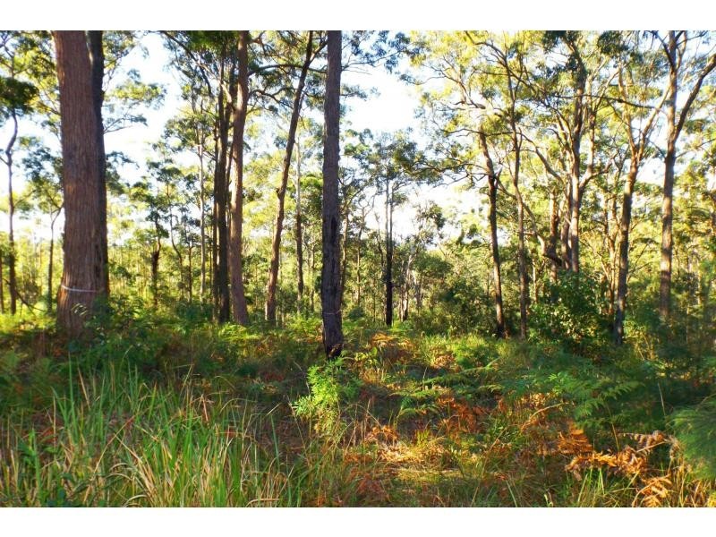 L51 Glider Spur, Kew NSW 2439