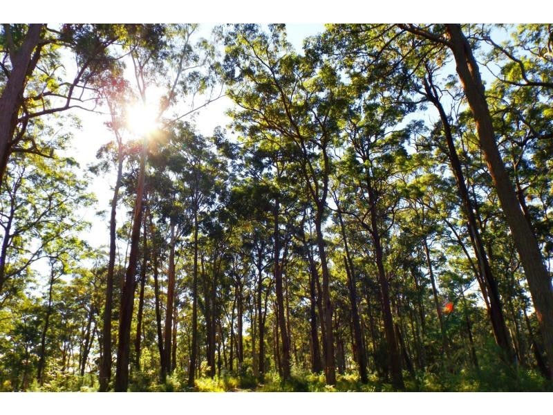 L51 Glider Spur, Kew NSW 2439