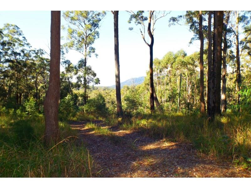 L51 Glider Spur, Kew NSW 2439