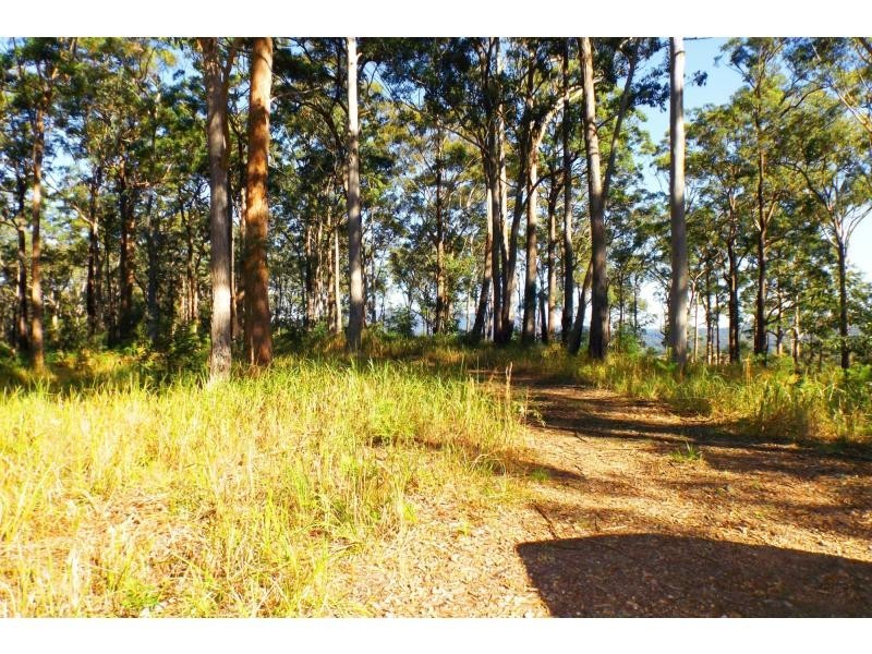 L51 Glider Spur, Kew NSW 2439