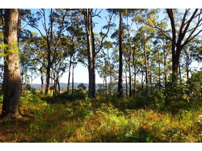 L50 Glider Spur, Kew NSW 2439