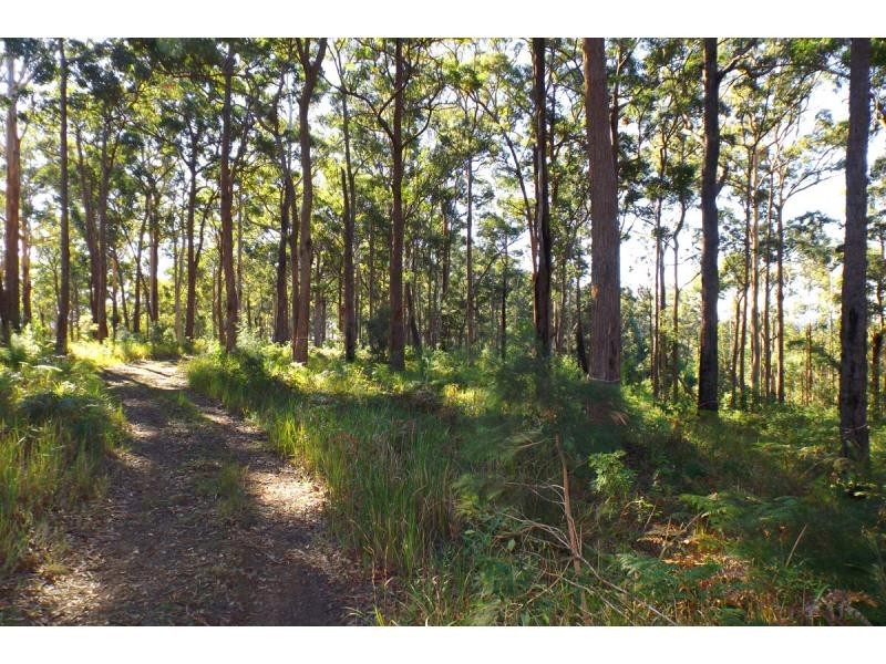 L50 Glider Spur, Kew NSW 2439