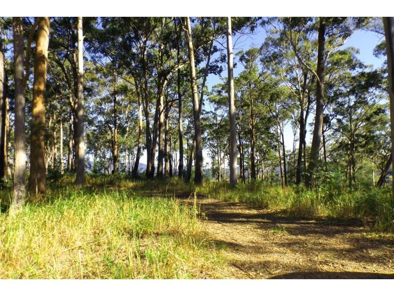 L50 Glider Spur, Kew NSW 2439
