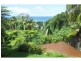 12 Vendul Crescent, Light House Beach, Port Macquarie NSW 2444