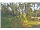 L17 Glider Spur, Kew NSW 2439