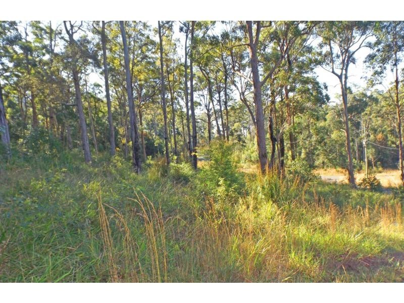 L17 Glider Spur, Kew NSW 2439
