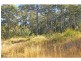 L17 Glider Spur, Kew NSW 2439