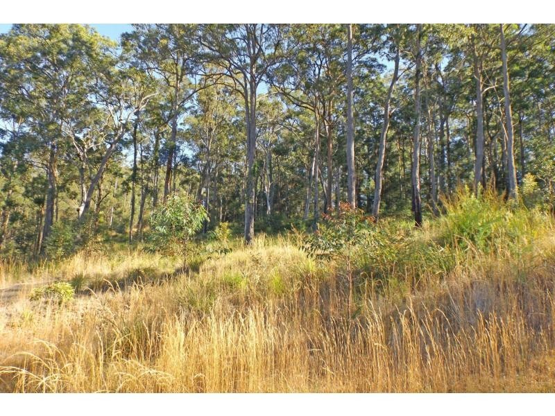 L17 Glider Spur, Kew NSW 2439