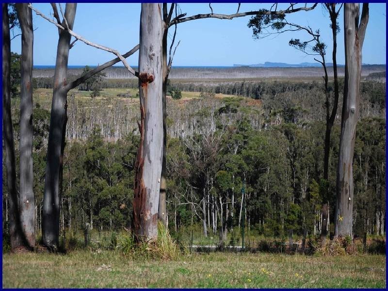 Lot 95 Crestwood Heights, Port Macquarie NSW 2444