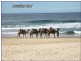 23 The Summit Road, Port Macquarie NSW 2444