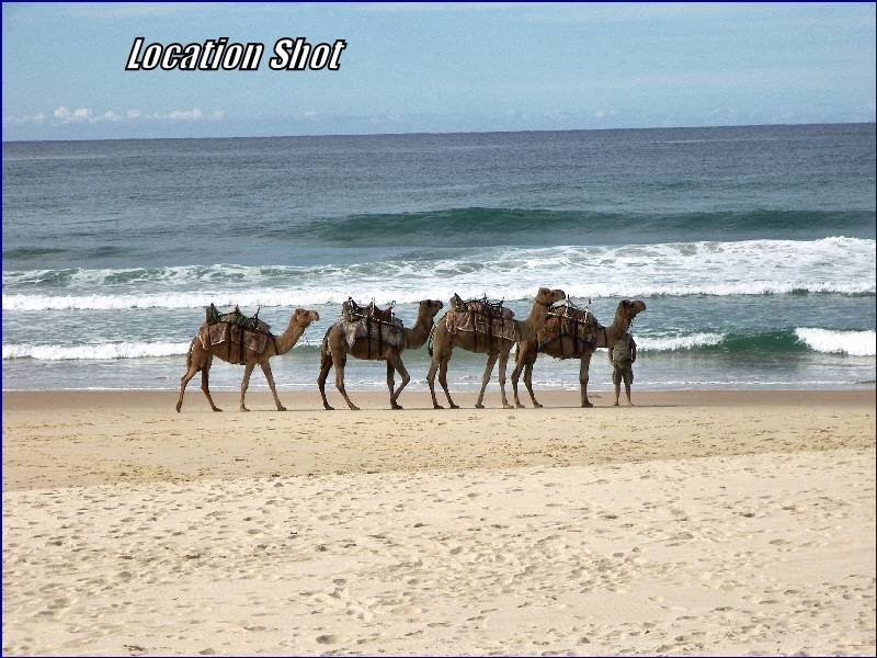 23 The Summit Road, Port Macquarie NSW 2444