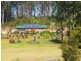 9271 Pacific Highway, Cooperabung NSW 2441