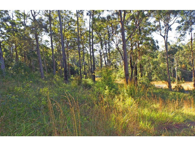 Lots At Lake Ridge Estate, Kew NSW 2439