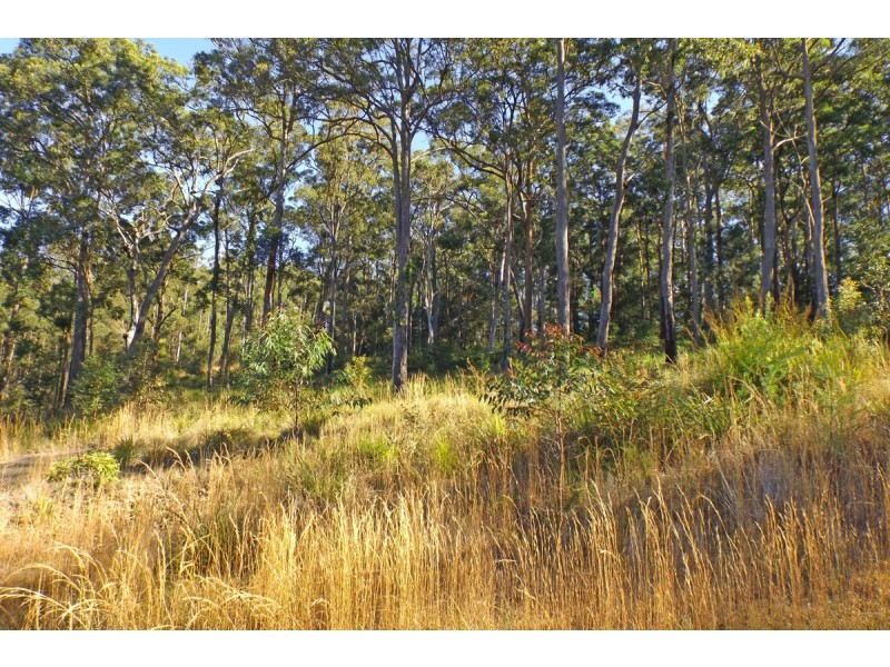 Lots At Lake Ridge Estate, Kew NSW 2439